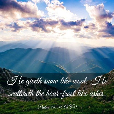 Picture 03 - Psalms 147:16 ASV - He giveth snow like wool; He scattereth the - Bible Verse Picture