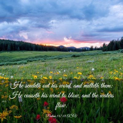 Picture 03 - Psalms 147:18 ASV - He sendeth out his word, and melteth them: He - Bible Verse Picture