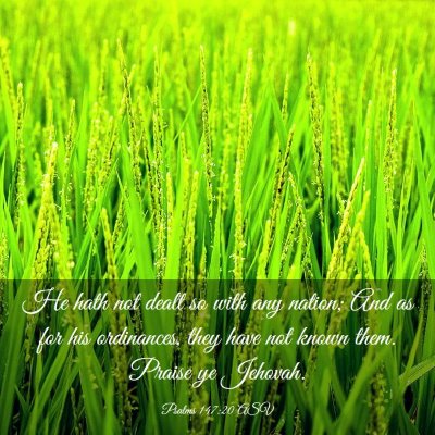 Picture 03 - Psalms 147:20 ASV - He hath not dealt so with any nation; And as for - Bible Verse Picture