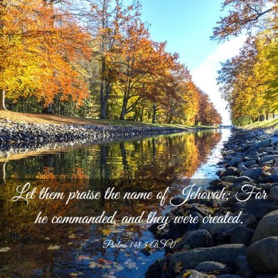 Picture 03 - Psalms 148:5 ASV - Let them praise the name of Jehovah; For he - Bible Verse Picture