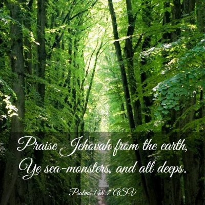 Picture 03 - Psalms 148:7 ASV - Praise Jehovah from the earth, Ye sea-monsters, - Bible Verse Picture