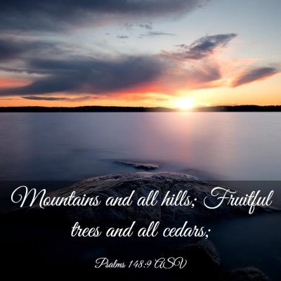 Picture 03 - Psalms 148:9 ASV - Mountains and all hills; Fruitful trees and all - Bible Verse Picture