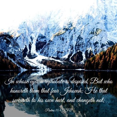 Picture 03 - Psalms 15:4 ASV - In whose eyes a reprobate is despised, But who - Bible Verse Picture