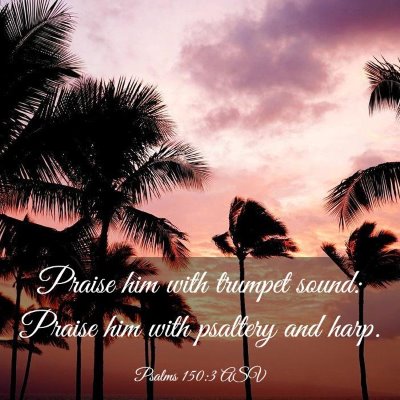 Picture 03 - Psalms 150:3 ASV - Praise him with trumpet sound: Praise him with - Bible Verse Picture