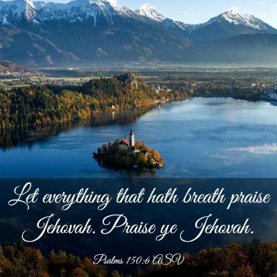 Picture 03 - Psalms 150:6 ASV - Let everything that hath breath praise Jehovah. - Bible Verse Picture