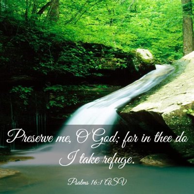 Picture 03 - Psalms 16:1 ASV - Preserve me, O God; for in thee do I take - Bible Verse Picture