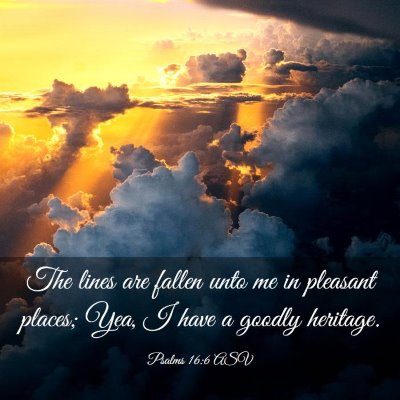 Picture 03 - Psalms 16:6 ASV - The lines are fallen unto me in pleasant places; - Bible Verse Picture