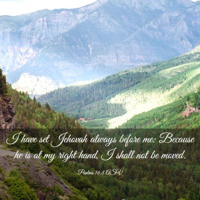 Picture 03 - Psalms 16:8 ASV - I have set Jehovah always before me: Because he - Bible Verse Picture