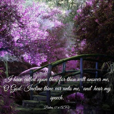 Picture 03 - Psalms 17:6 ASV - I have called upon thee, for thou wilt answer me, - Bible Verse Picture