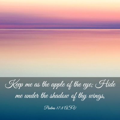Picture 03 - Psalms 17:8 ASV - Keep me as the apple of the eye; Hide me under - Bible Verse Picture