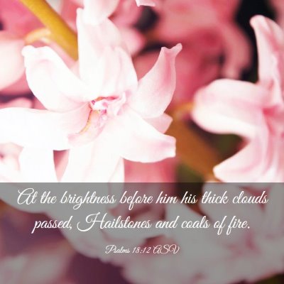 Picture 03 - Psalms 18:12 ASV - At the brightness before him his thick clouds - Bible Verse Picture