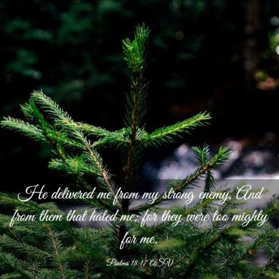 Picture 03 - Psalms 18:17 ASV - He delivered me from my strong enemy, And from - Bible Verse Picture