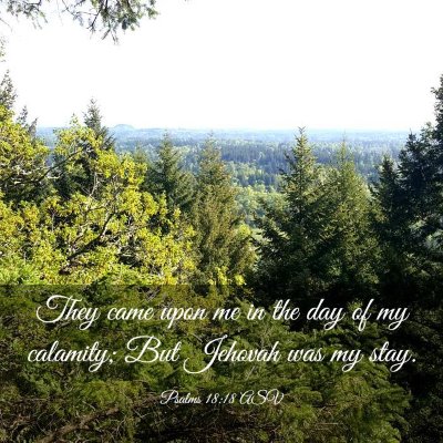 Picture 03 - Psalms 18:18 ASV - They came upon me in the day of my calamity; But - Bible Verse Picture