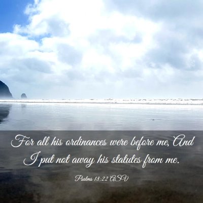 Picture 03 - Psalms 18:22 ASV - For all his ordinances were before me, And I put - Bible Verse Picture