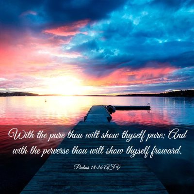 Picture 03 - Psalms 18:26 ASV - With the pure thou wilt show thyself pure; And - Bible Verse Picture