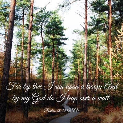 Picture 03 - Psalms 18:29 ASV - For by thee I run upon a troop; And by my God do - Bible Verse Picture