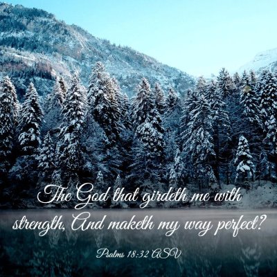 Picture 03 - Psalms 18:32 ASV - The God that girdeth me with strength, And maketh - Bible Verse Picture