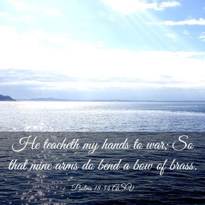 Picture 03 - Psalms 18:34 ASV - He teacheth my hands to war; So that mine arms do - Bible Verse Picture