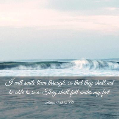 Picture 03 - Psalms 18:38 ASV - I will smite them through, so that they shall not - Bible Verse Picture