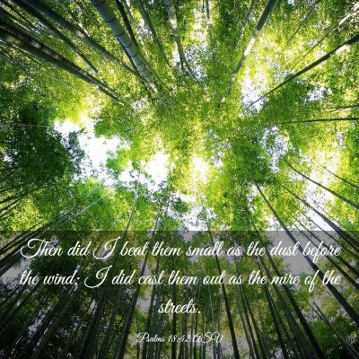 Picture 03 - Psalms 18:42 ASV - Then did I beat them small as the dust before the - Bible Verse Picture