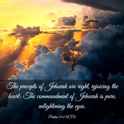 Picture 03 - Psalms 19:8 ASV - The precepts of Jehovah are right, rejoicing the - Bible Verse Picture