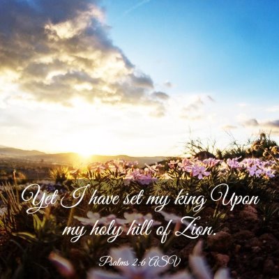 Picture 03 - Psalms 2:6 ASV - Yet I have set my king Upon my holy hill of - Bible Verse Picture