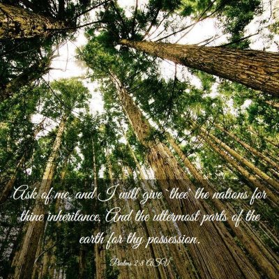 Picture 03 - Psalms 2:8 ASV - Ask of me, and I will give `thee' the nations for - Bible Verse Picture