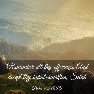 Picture 03 - Psalms 20:3 ASV - Remember all thy offerings, And accept thy - Bible Verse Picture