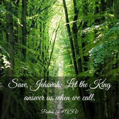 Picture 03 - Psalms 20:9 ASV - Save, Jehovah: Let the King answer us when we - Bible Verse Picture