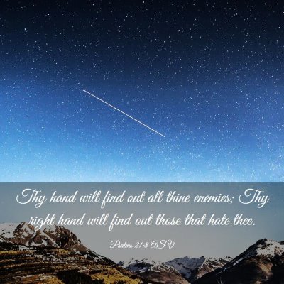 Picture 03 - Psalms 21:8 ASV - Thy hand will find out all thine enemies; Thy - Bible Verse Picture