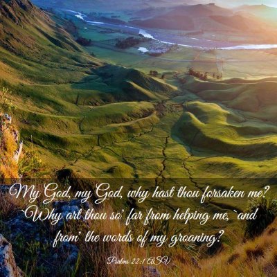 Picture 03 - Psalms 22:1 ASV - My God, my God, why hast thou forsaken me? `Why - Bible Verse Picture