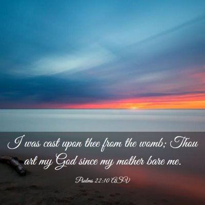 Picture 03 - Psalms 22:10 ASV - I was cast upon thee from the womb; Thou art my - Bible Verse Picture