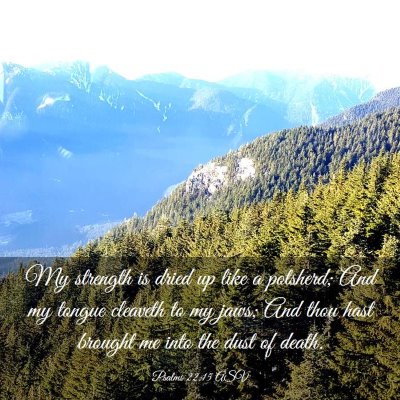 Picture 03 - Psalms 22:15 ASV - My strength is dried up like a potsherd; And my - Bible Verse Picture