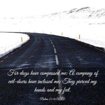 Picture 03 - Psalms 22:16 ASV - For dogs have compassed me: A company of - Bible Verse Picture