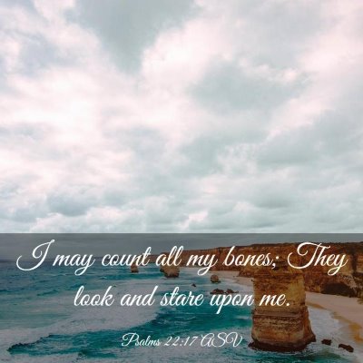 Picture 03 - Psalms 22:17 ASV - I may count all my bones; They look and stare - Bible Verse Picture