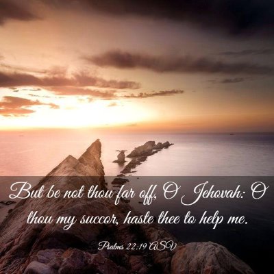 Picture 03 - Psalms 22:19 ASV - But be not thou far off, O Jehovah: O thou my - Bible Verse Picture