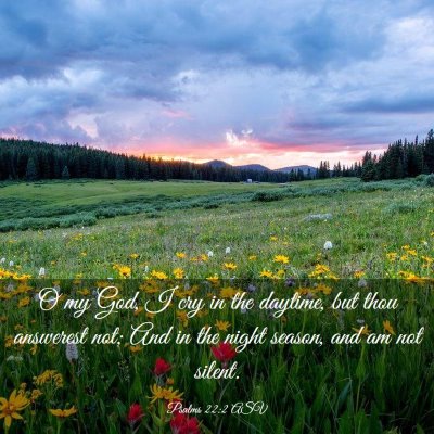 Picture 03 - Psalms 22:2 ASV - O my God, I cry in the daytime, but thou - Bible Verse Picture