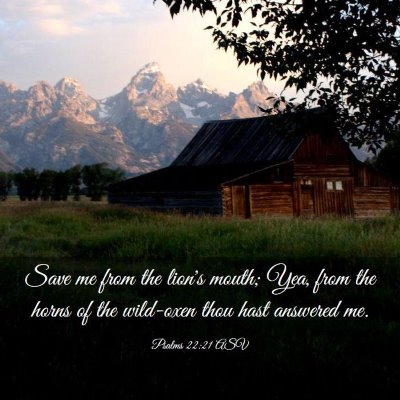 Picture 03 - Psalms 22:21 ASV - Save me from the lion's mouth; Yea, from the - Bible Verse Picture