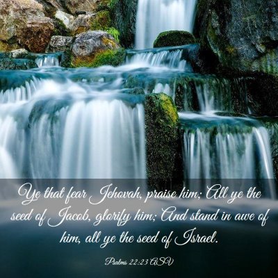 Picture 03 - Psalms 22:23 ASV - Ye that fear Jehovah, praise him; All ye the seed - Bible Verse Picture