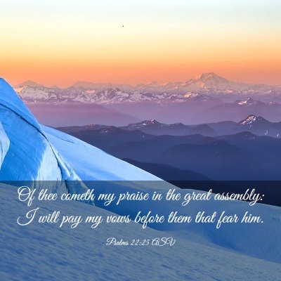Picture 03 - Psalms 22:25 ASV - Of thee cometh my praise in the great assembly: I - Bible Verse Picture