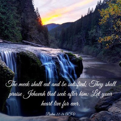 Picture 03 - Psalms 22:26 ASV - The meek shall eat and be satisfied; They shall - Bible Verse Picture