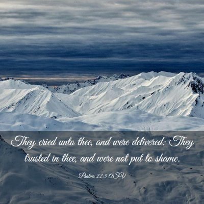 Picture 03 - Psalms 22:5 ASV - They cried unto thee, and were delivered: They - Bible Verse Picture
