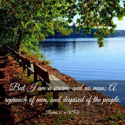 Picture 03 - Psalms 22:6 ASV - But I am a worm, and no man; A reproach of men, - Bible Verse Picture