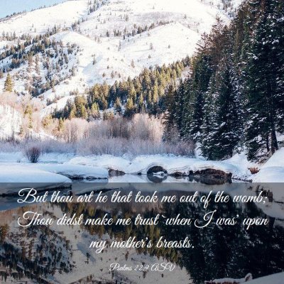 Picture 03 - Psalms 22:9 ASV - But thou art he that took me out of the womb; - Bible Verse Picture