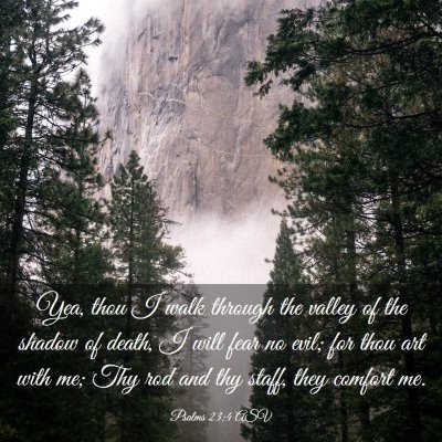 Picture 03 - Psalms 23:4 ASV - Yea, thou I walk through the valley of the shadow - Bible Verse Picture