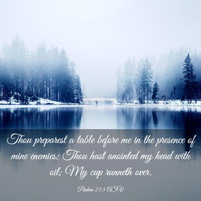 Picture 03 - Psalms 23:5 ASV - Thou preparest a table before me in the presence - Bible Verse Picture
