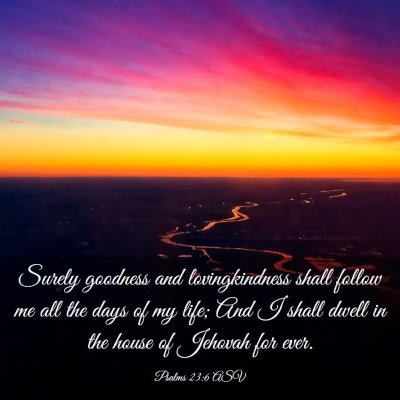 Picture 03 - Psalms 23:6 ASV - Surely goodness and lovingkindness shall follow - Bible Verse Picture