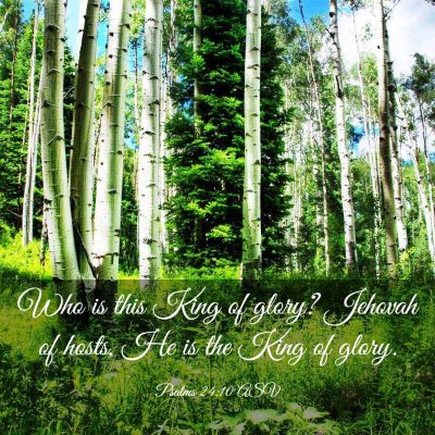 Picture 03 - Psalms 24:10 ASV - Who is this King of glory? Jehovah of hosts, He - Bible Verse Picture