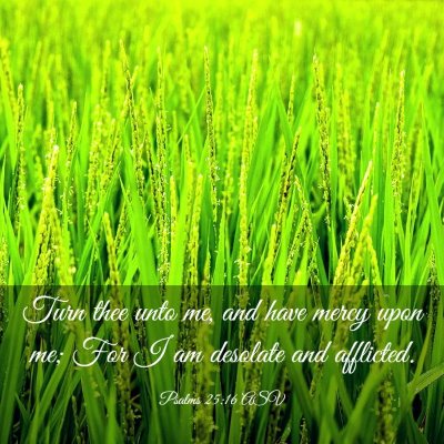 Picture 03 - Psalms 25:16 ASV - Turn thee unto me, and have mercy upon me; For I - Bible Verse Picture