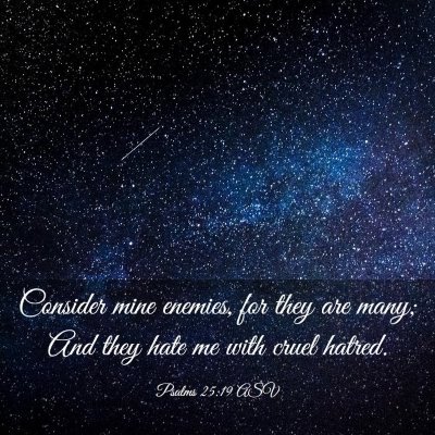 Picture 03 - Psalms 25:19 ASV - Consider mine enemies, for they are many; And - Bible Verse Picture